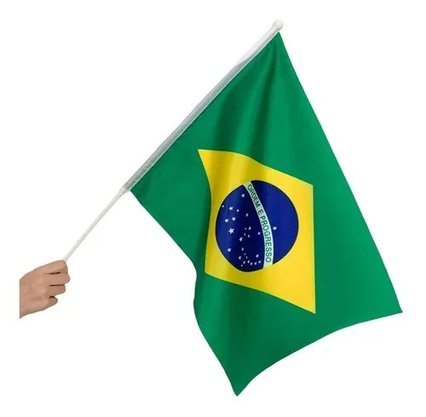 Bandeira Do Brasil Com Haste 60x90cm