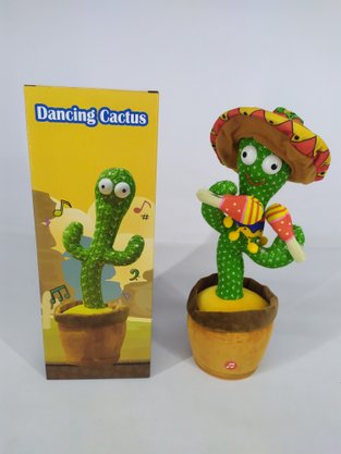 Cacto Dançante Musical 