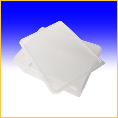 Caixa Retangular Com Tampa 11L Natural