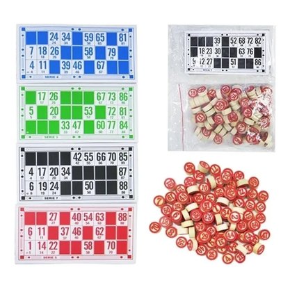 Jogo Bingo Divertido Com 48 Cartelas