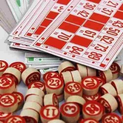Jogo Bingo Divertido Com 48 Cartelas