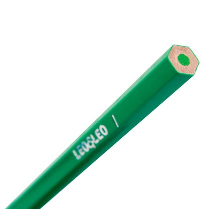 Lápis 12 Cores Resina Sextavado Flex