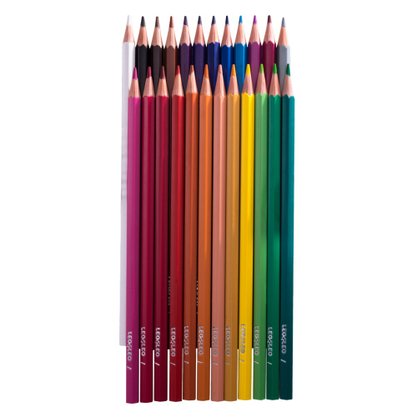 Lápis 24 Cores Resina Sextavado Flex