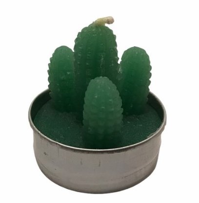 Vela Decorativa Plantas 3,5cm 