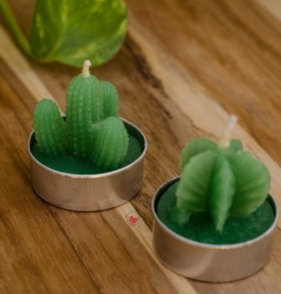 Vela Decorativa Plantas 3,5cm 