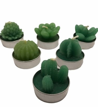 Vela Decorativa Plantas 3,5cm 