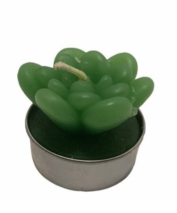 Vela Decorativa Plantas 3,5cm 