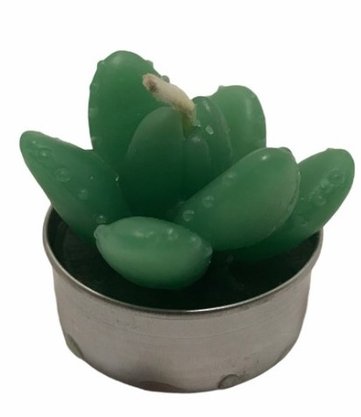 Vela Decorativa Plantas 3,5cm 