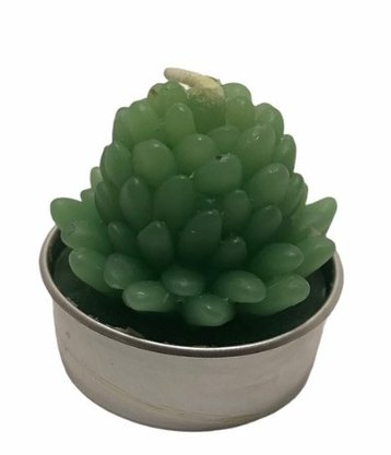 Vela Decorativa Plantas 3,5cm 