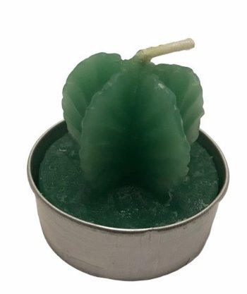 Vela Decorativa Plantas 3,5cm 