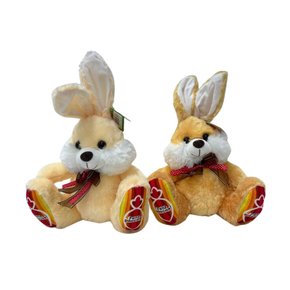 Pelúcia Coelho Feliz Páscoa 25cm Cores Sortidas