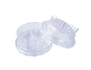 Processador De Alho 8cm