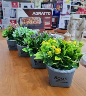 Vaso De Cerâmica e Planta 13 cm