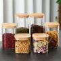 Pote Hermético Com Tampa De Bambu 550ml
